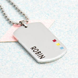 A silver-coloured necklace with a ball chain, featuring an enamelled accent with the Pansexual pride flag colours and the name 'Evan' written on it.